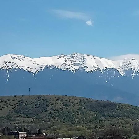Le Nid D'Adam Apartment Zărneşti Exterior foto