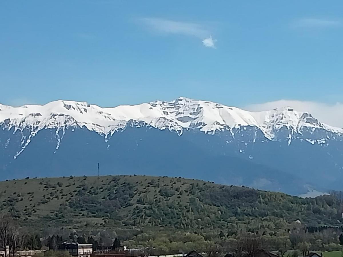 Le Nid D'Adam Apartment Zărneşti Exterior foto